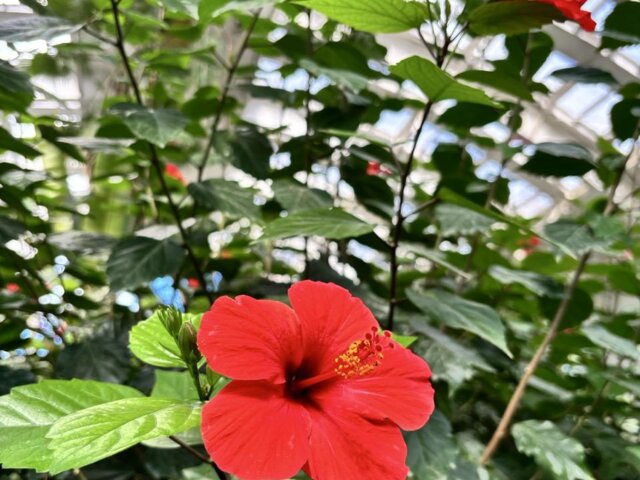 IMG_0038 — крупный размер