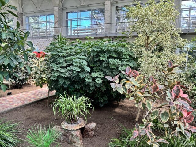 IMG_0044 — крупный размер