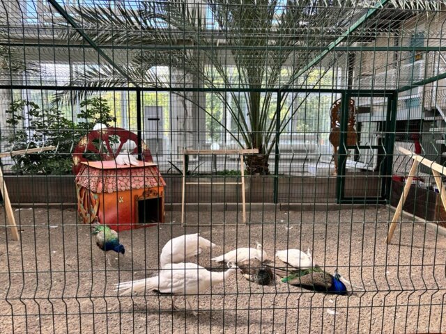 IMG_0045 — крупный размер