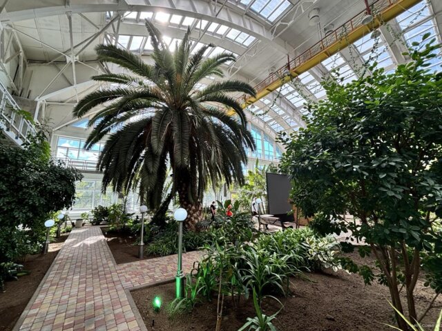 IMG_0043 — крупный размер