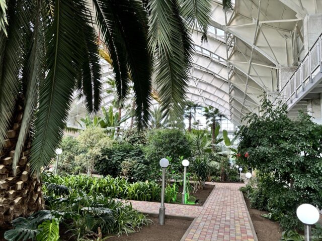 IMG_0020 — крупный размер