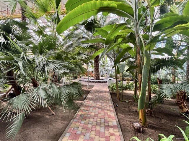 IMG_0025 — крупный размер