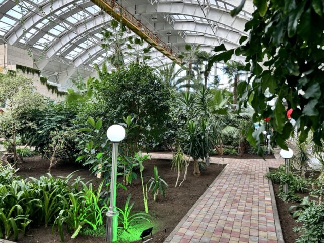 IMG_0021 — крупный размер