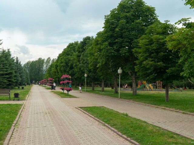 pexels-visit-almaty-10271580 Large