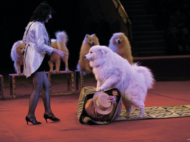 pexels-visit-almaty-1143183 Large