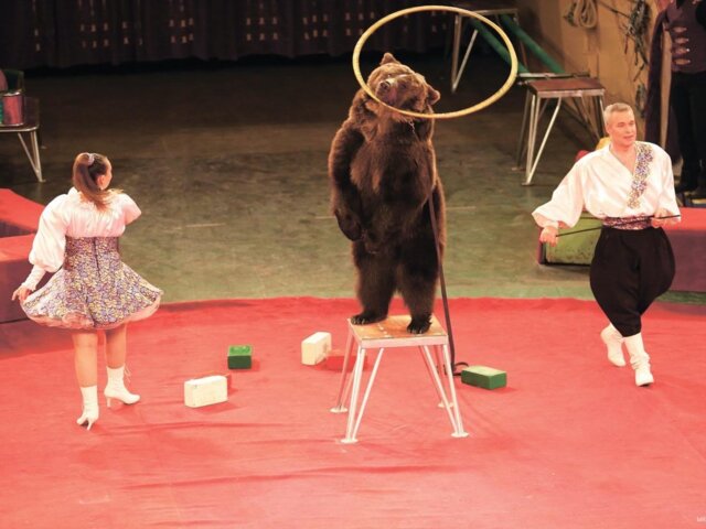 pexels-visit-almaty-1143184 Large