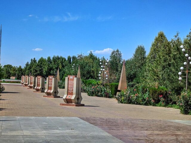 1000084313 Large